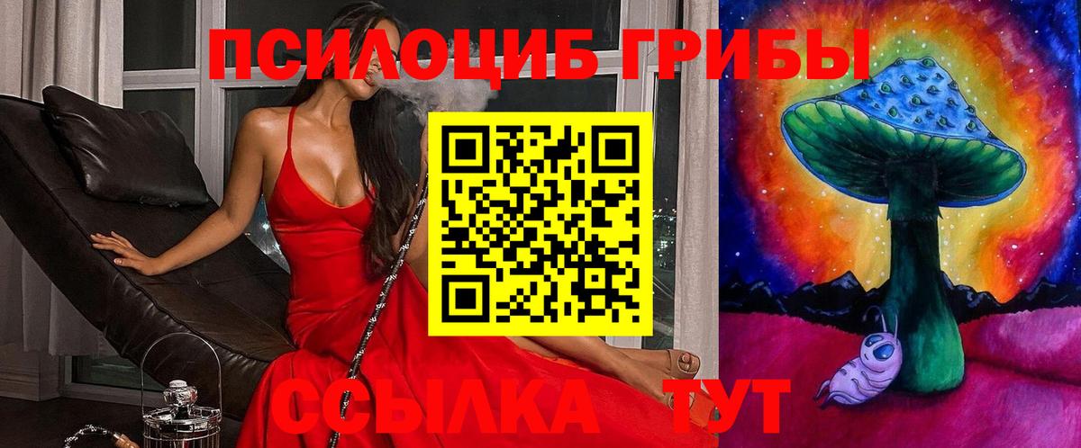 Псилоцибиновые грибы мицелий Дербент