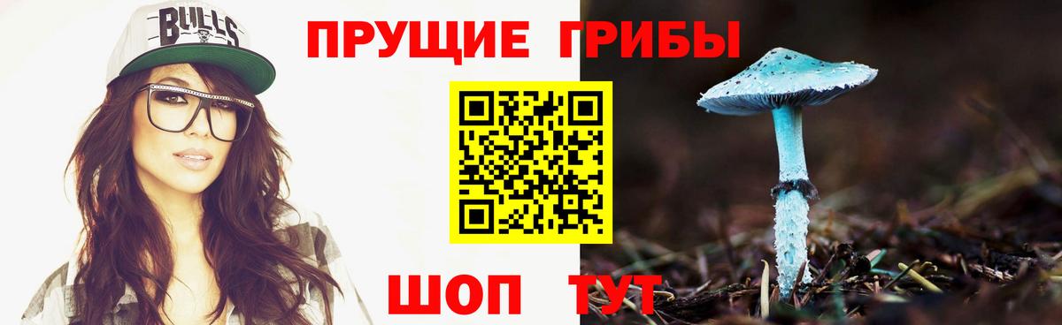 Дербент  Псилоцибиновые грибы Psilocybe  Вход с VPN 